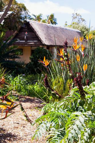 Kirstenbosch National Botanical Garden