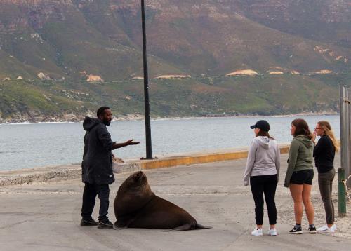 Hout Bay