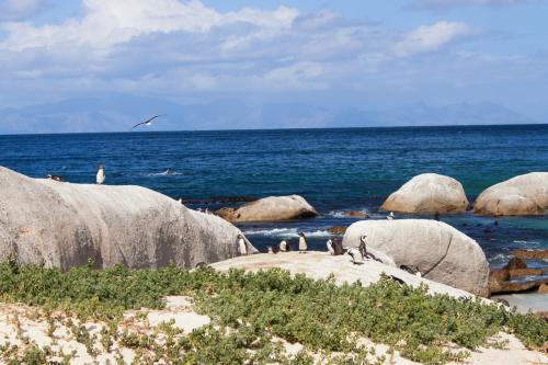 Simon's Town