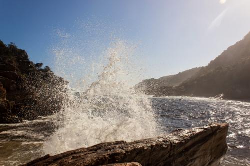 Tsitsikamma National Park