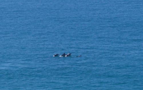 Robberg Nature Reserve