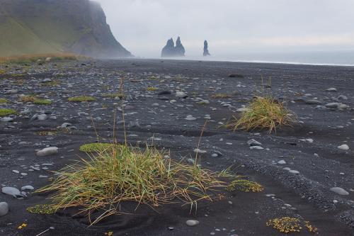 Black Beach