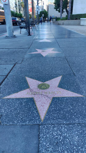 Hollywood Boulevard