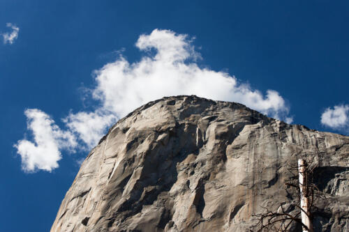 Yosemite National Park